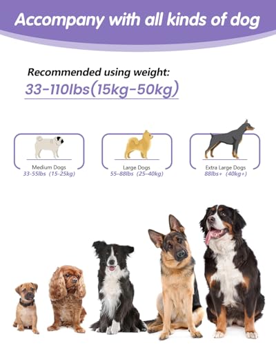Hands Free Dog Leash (Purple / Large-5.9-9.5ft)