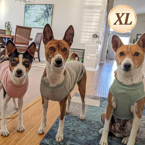 2Pack Waffle Dog Shirt for Small Medium Dogs Soft Dog Sweater (X-Large (19-27lbs) / 2Pack(Blue+Grey))