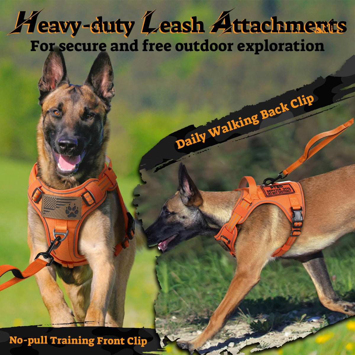 Tactical Dog Harness Medium Sized (M(chest:20.1"-33.9",neck:17.7"-22.3",back:7.5") / Orange)