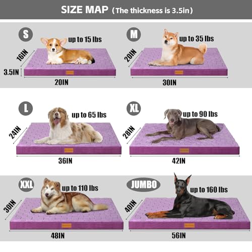 Orthopedic Large Dog Bed Pet Crate Mat 36''X24'' Purple (Purple / 36"L x 24"W x 3.5"Th)