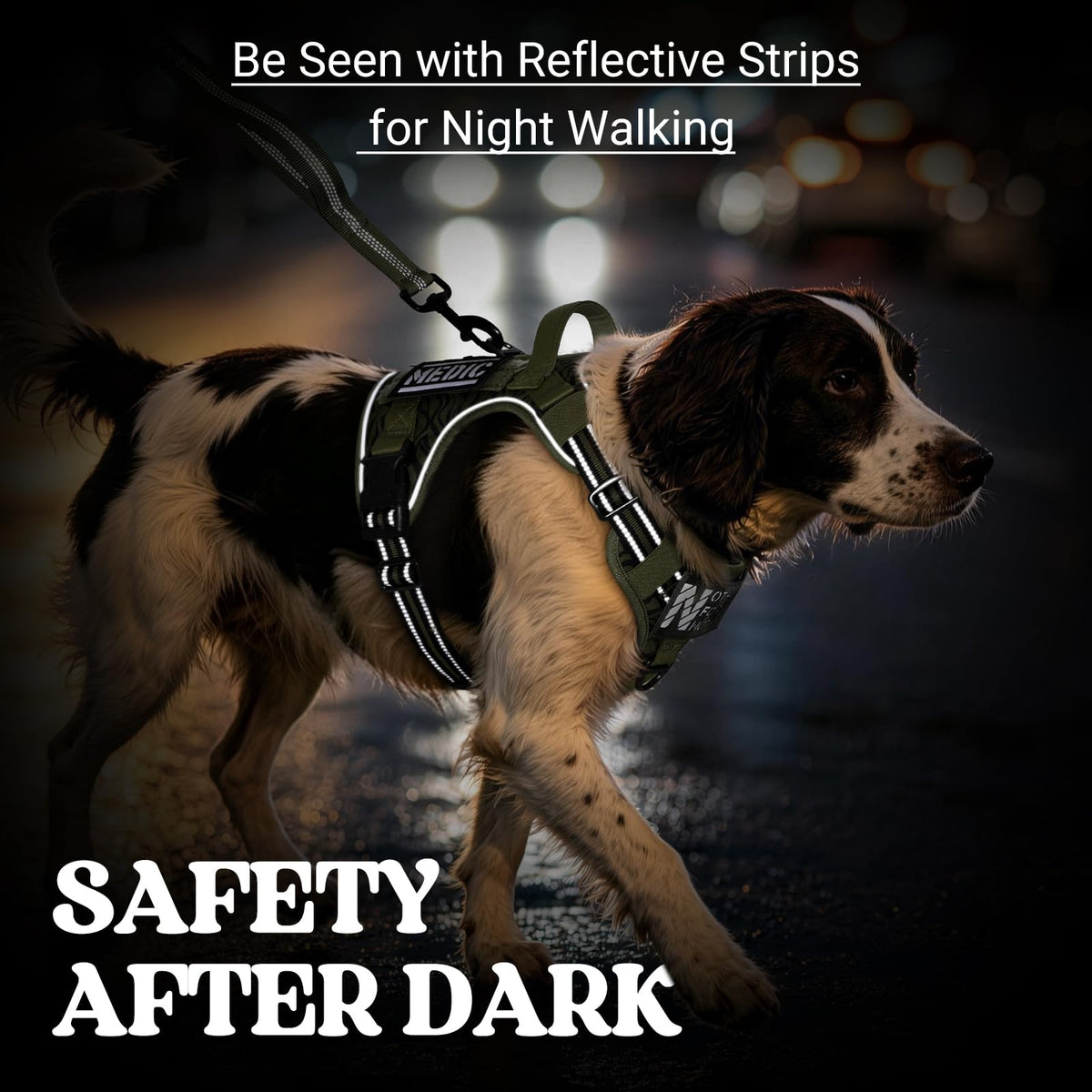 Tactical Dog Harness for Large (Green Desert / Small)