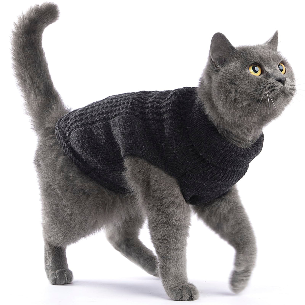 Cat Sweater Stretchy (Dark Gray / Large)