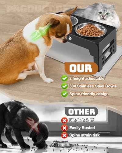 Elevated Dog Bowls for Small Dogs and Cats with Mat (for Small Dogs 1 Basic&1Slow Bowl with Mat / Black)