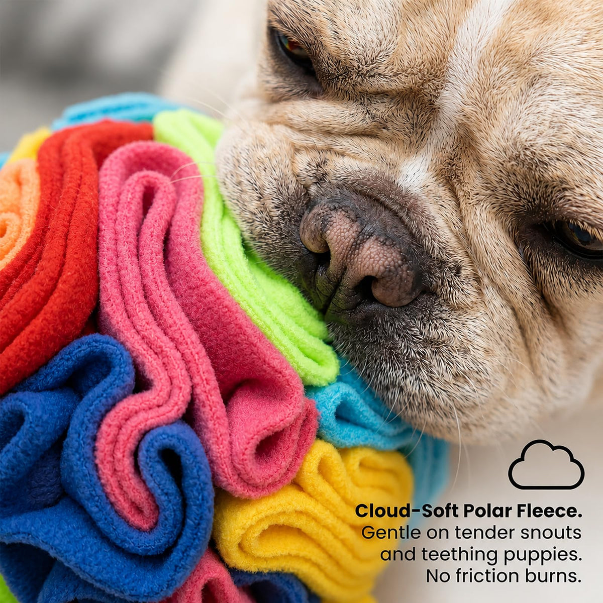 Snuffle Ball for Dogs (Rainbow / Medium)