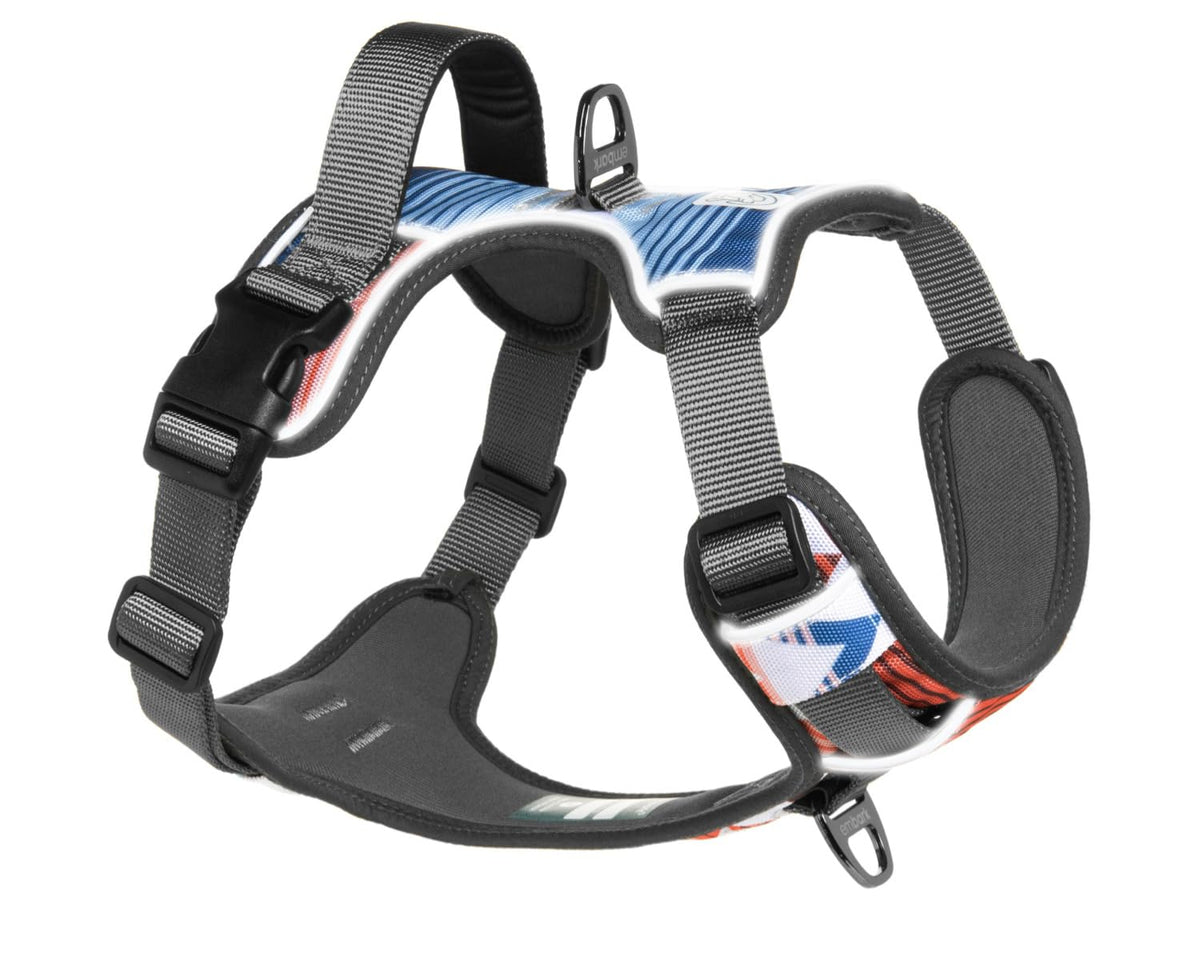 Embark No Pull Dog Harness (XS / Santa Monica)