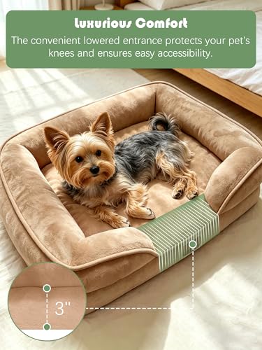 Orthopedic Dog Bed with Sides (24.0"L x 18.0"W x 6.0"Th / Brown)