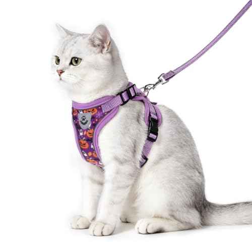 Halloween Cat Harness and Leash Set Escape Proof Reflective Cat Walking Harness Adjustable Soft Breathable Mesh Vest for Small Pets (S (NECK 9.5"-11", CHEST 13"-16") / Purple(Halloween))