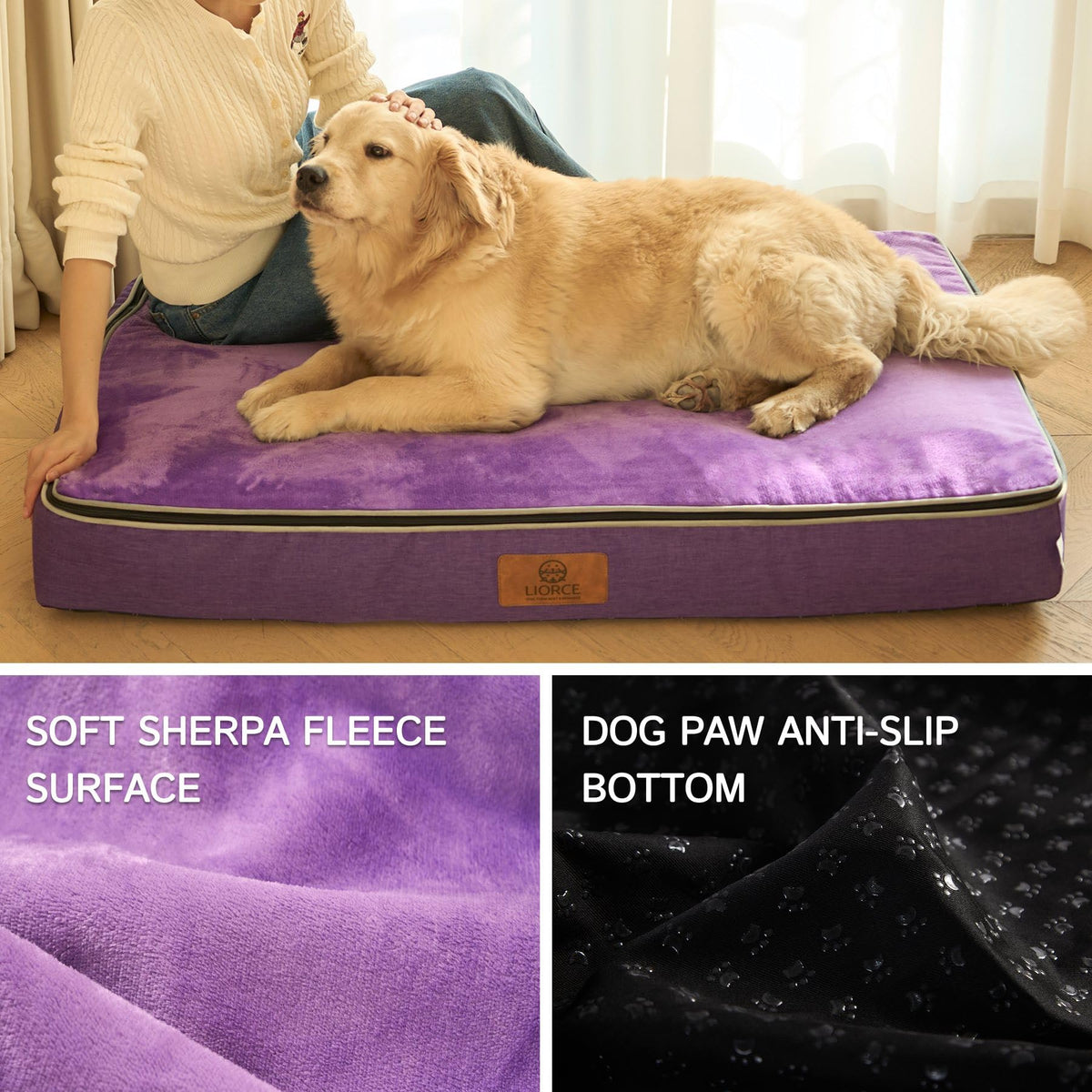 Orthopedic Memory Foam XXL Dog Bed (48.0"L x 30.0"W x 6.0"Th / Purple)