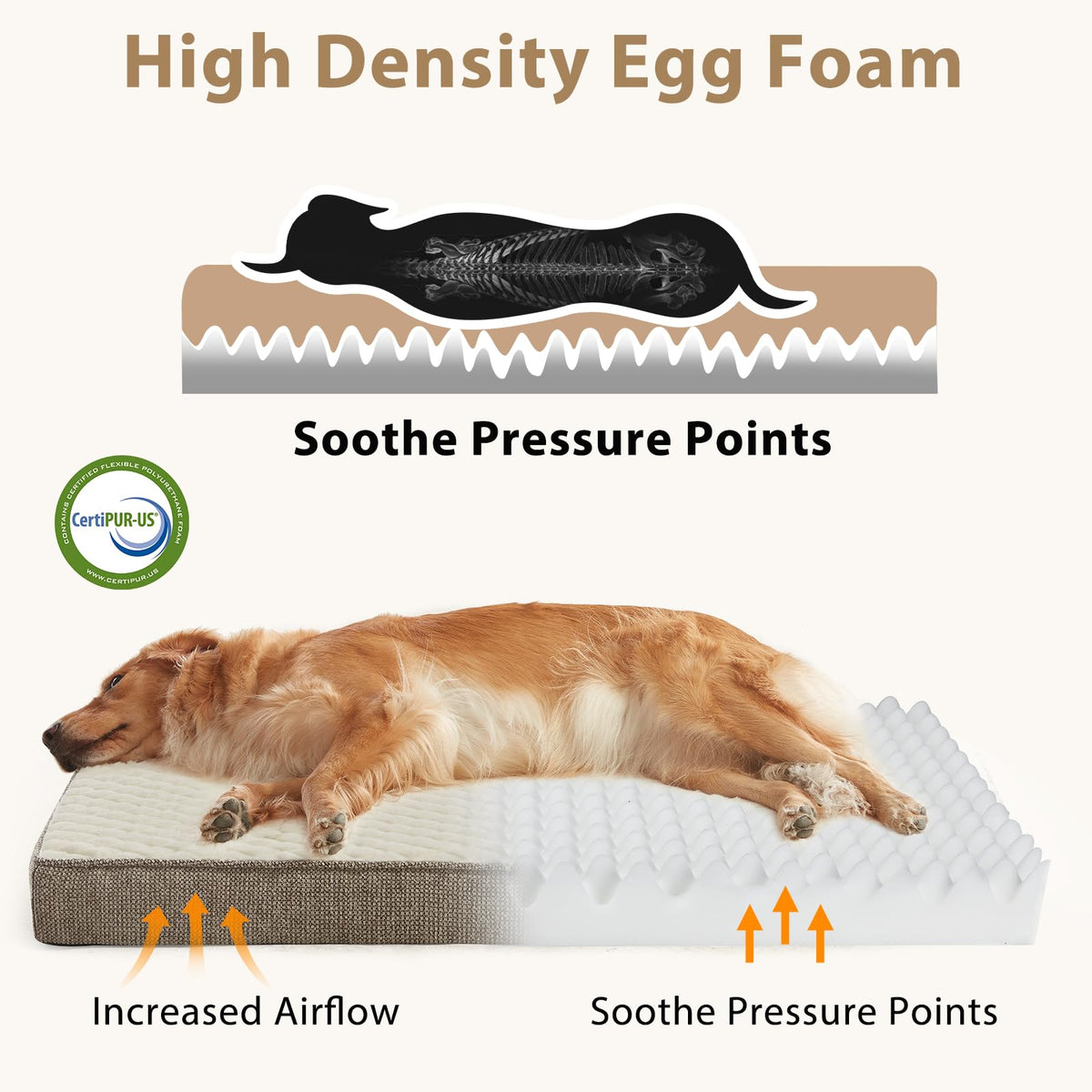 Orthopedic Medium Dog Bed (M(29"x18") / Beige)