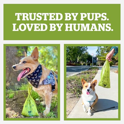 Pogi's Large Dog Poop Bags with Handles (1 Count (Pack of 900) / Unscented)