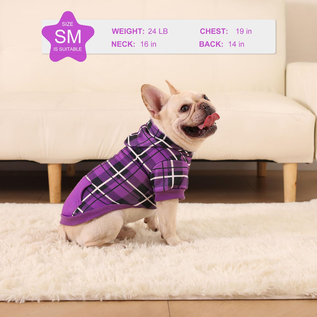 Plaid Dog Hoodie (Purple / S-Medium)