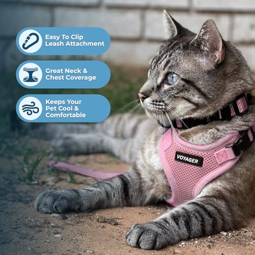 Voyager Step in Lock Cat Harness & Leash Set (Pink / XXXS (Chest: 10.5 - 13"))