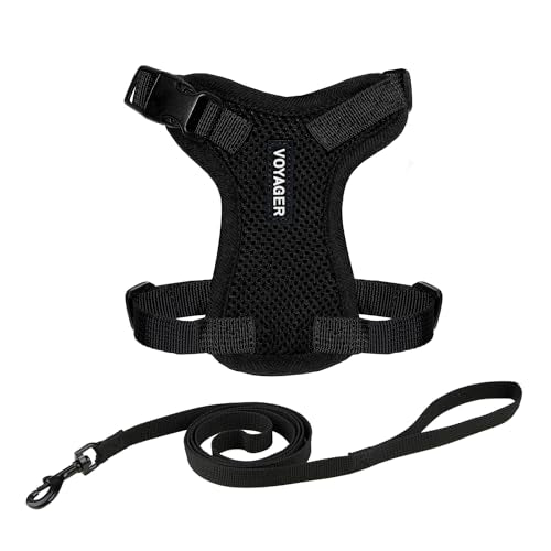 Voyager Step in Lock Cat Harness & Leash Set (Black / XXXS (Chest: 10.5 - 13"))