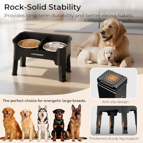 Mess Proof Elevated Dog Bowls (Black / Medium)