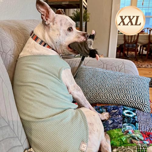 2Pack Waffle Dog Shirt for Medium Large Dogs Striped Dog Sweater (XX-Large (28-50lbs) / 2Pack(Green+Grey))