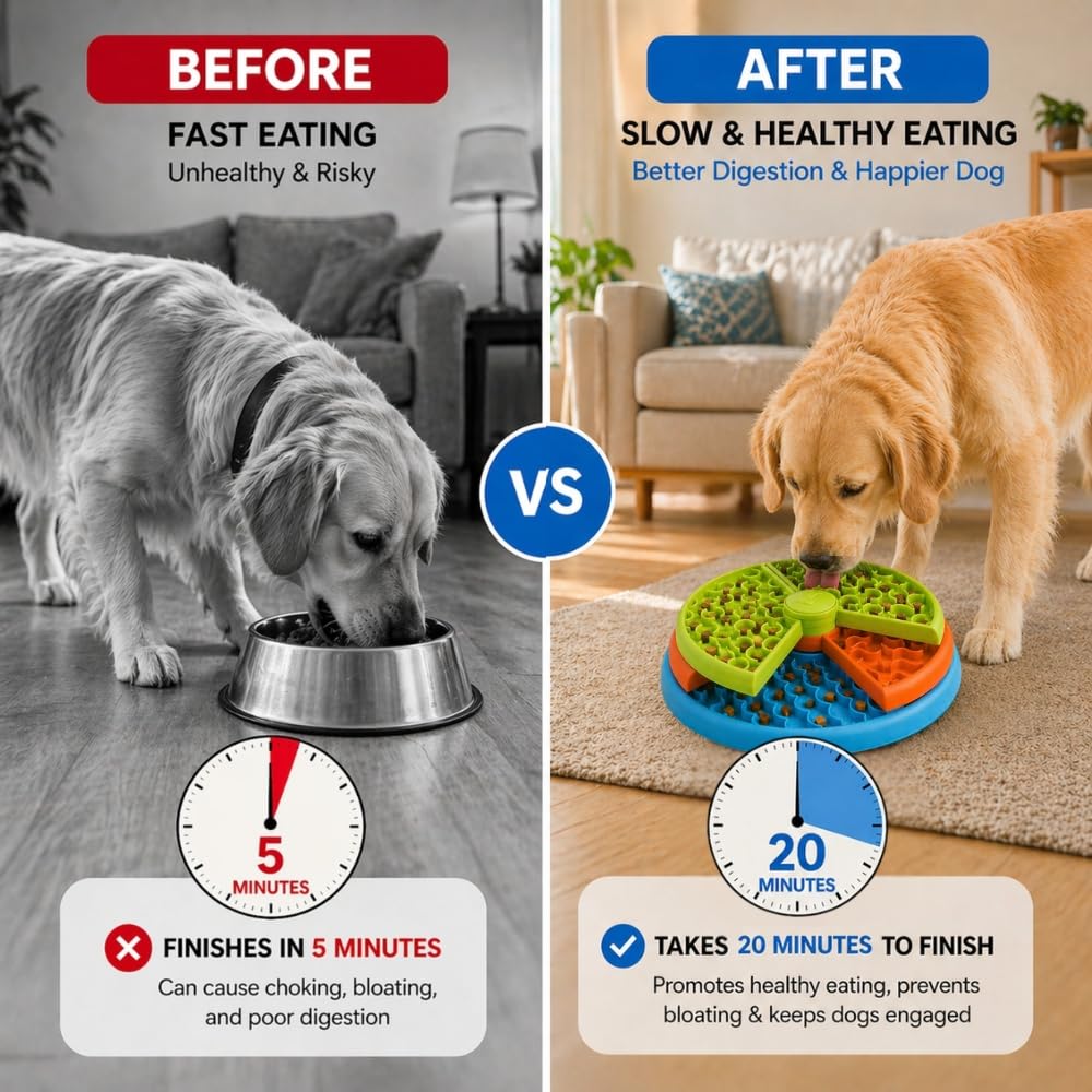 3 Level Slow Feeder Dog Bowls