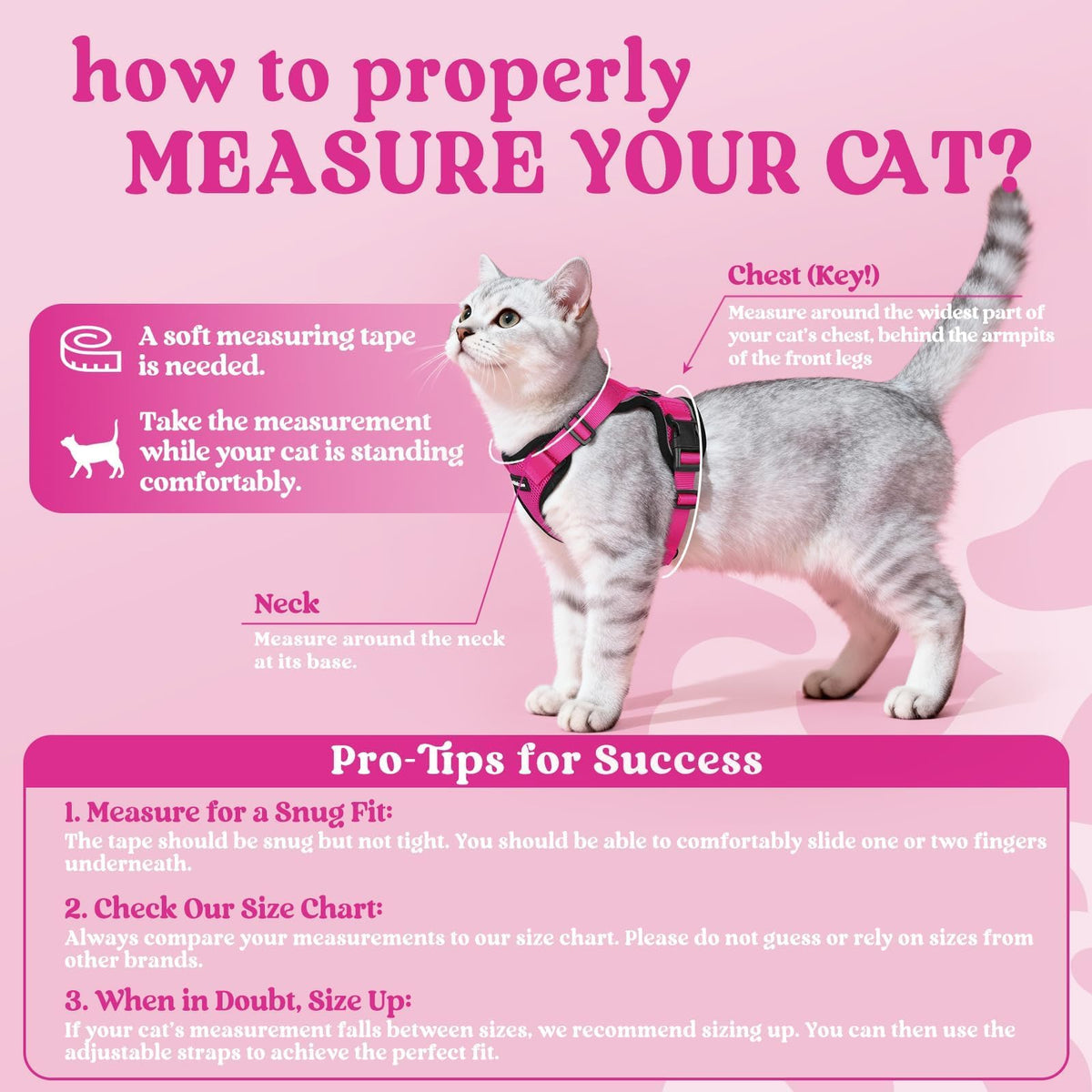 Cat Harness and Leash Set (M / Rose Red)