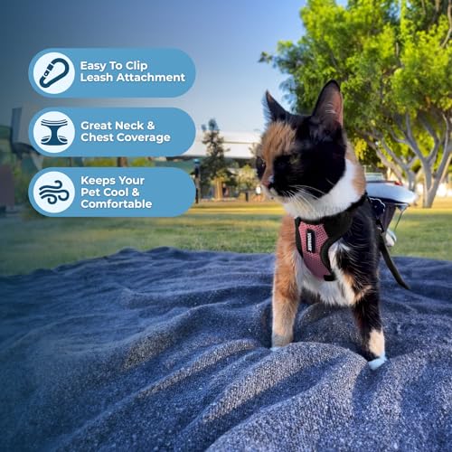 Voyager Step in Lock Cat Harness & Leash Set (Pink/Black Trim / XXXS (Chest: 10.5 - 13"))
