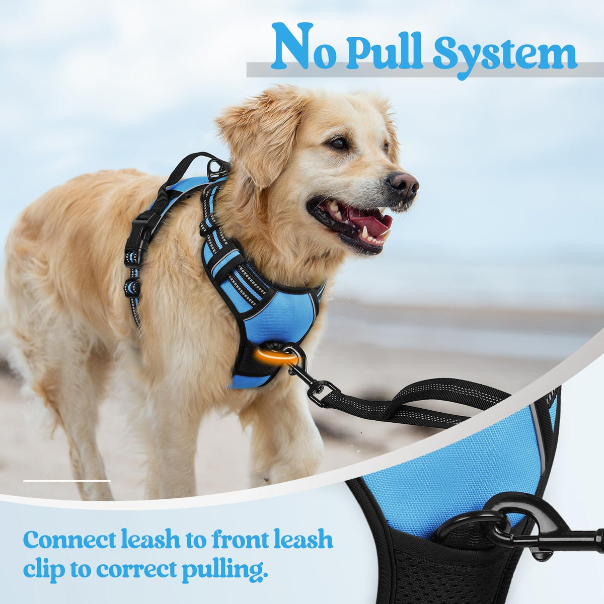 Dog Harness No Pull for Small Dogs with 2 Leash Clips (Small / Blue)