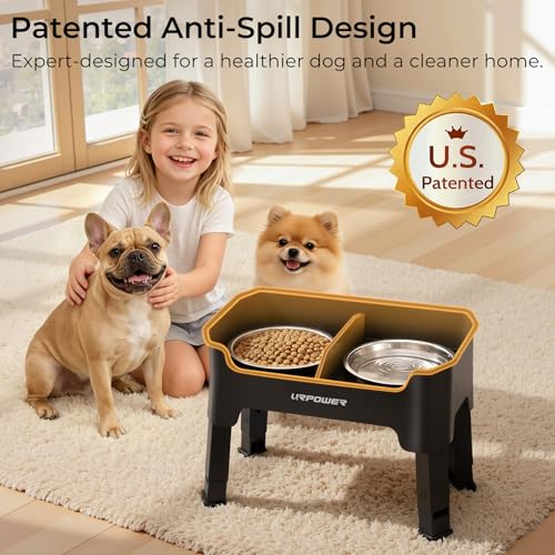 Mess Proof Elevated Dog Bowls (Matte Black / Small)