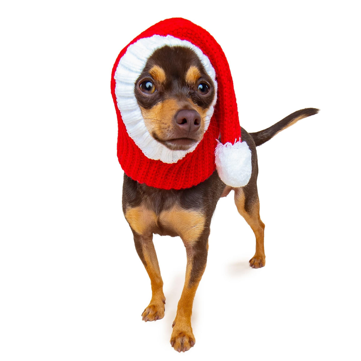 Christmas Santa Hat Costume (Santa Hat / Small)