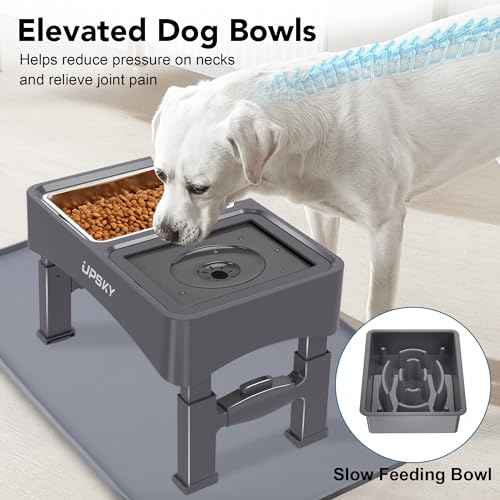 3-in-1 Elevated Dog Bowls Set with 4 Height Adjustable Stand and Mat (N-3 in 1 with Mat (Grey))
