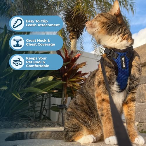 Voyager Step in Lock Cat Harness & Leash Set (Royal Blue/Black Trim / S (Chest: 15 - 18"))