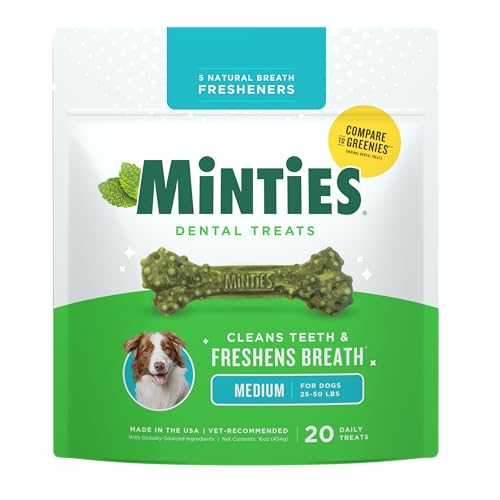 Mint Dental Chews for Dogs (Medium Dogs - 16oz)