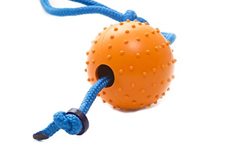 Nero Ball Classic (Large (Pack of 1))
