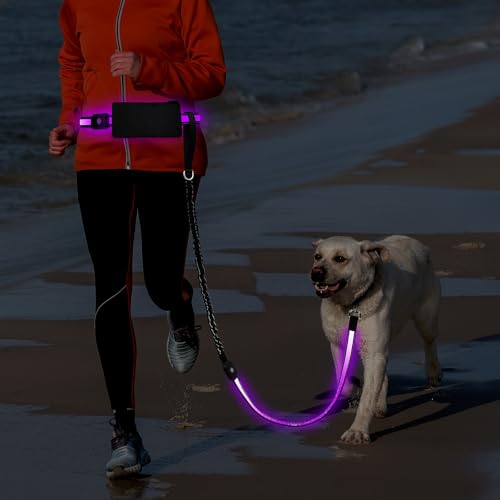LED Dog Leash Waist Hands Free (Multicolor)