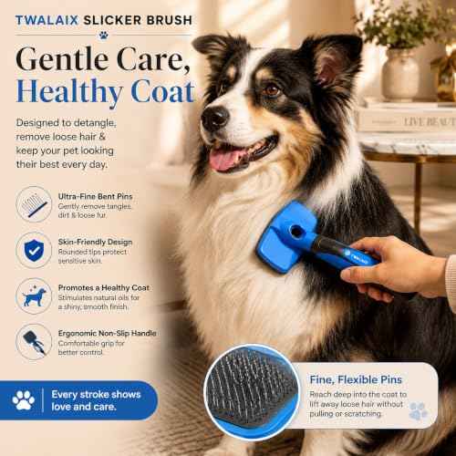 Pet Grooming Brushes Kit