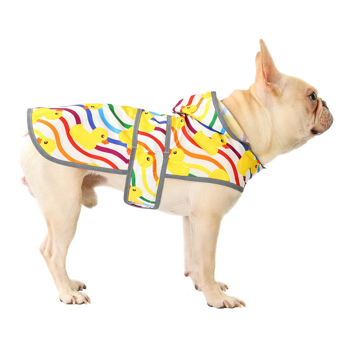 Dog Raincoat for Medium Dogs Waterproof Jacket Hooded Rain Coats with Reflective Strips Leash Hole & Poncho Adjustable Fit (Rainbow Ducks / Medium)