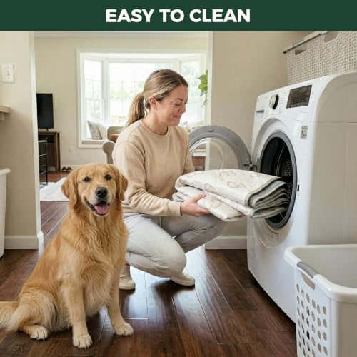 Rollick Dog Playpen with Washable Pee Pad (Black / 40"H)