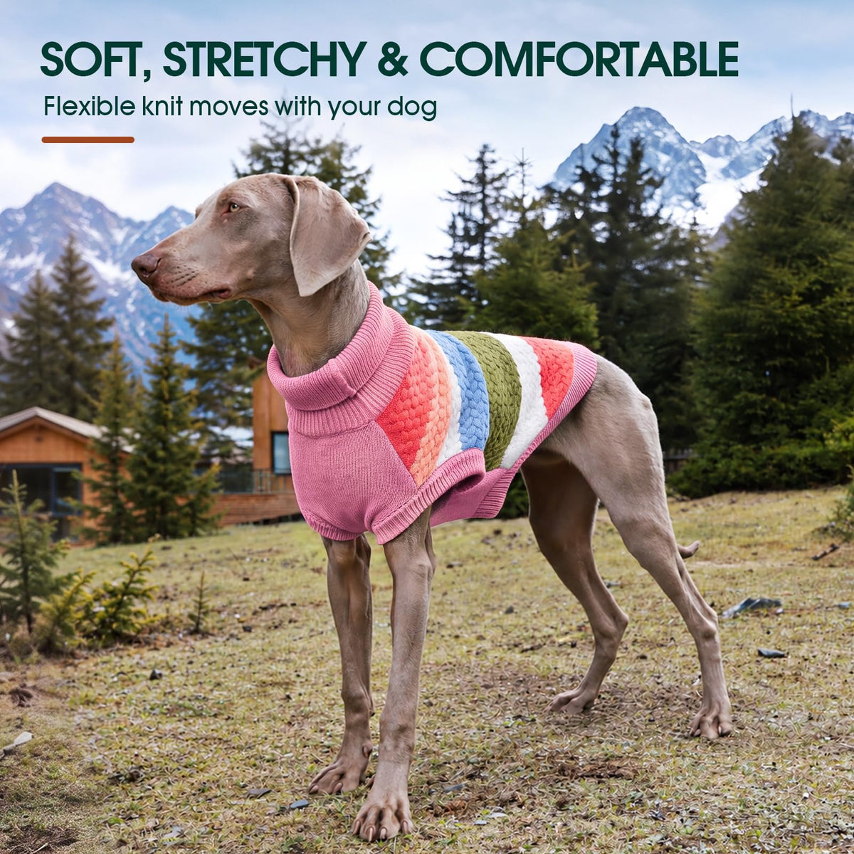 Dog Sweater Christmas Dog Sweaters for Extra Small Dogs (X-Small (Chest: 11.8''; Weight: 2 - 5LB) / Pink)