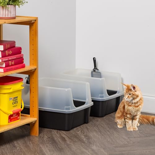 High Sided Cat Litter Box (Large - 2 Pack / Black)