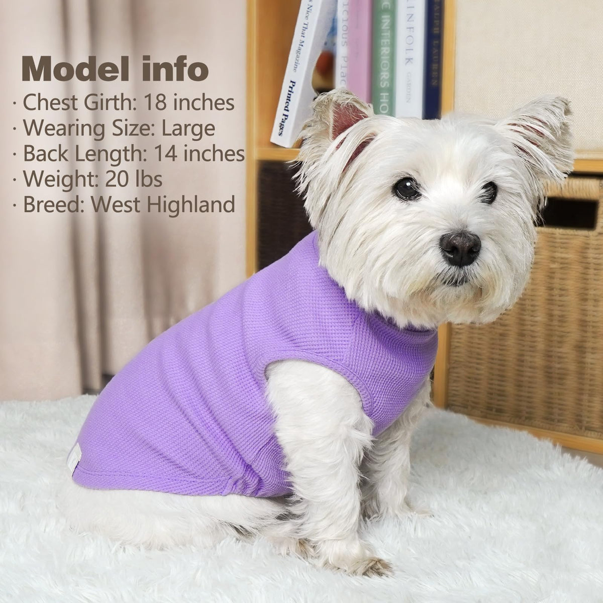 2Pack Waffle Dog Shirt for Small Medium Dogs Striped Dog Sweater (X-Large (19-27lbs) / 2Pack(Purple+Grey))
