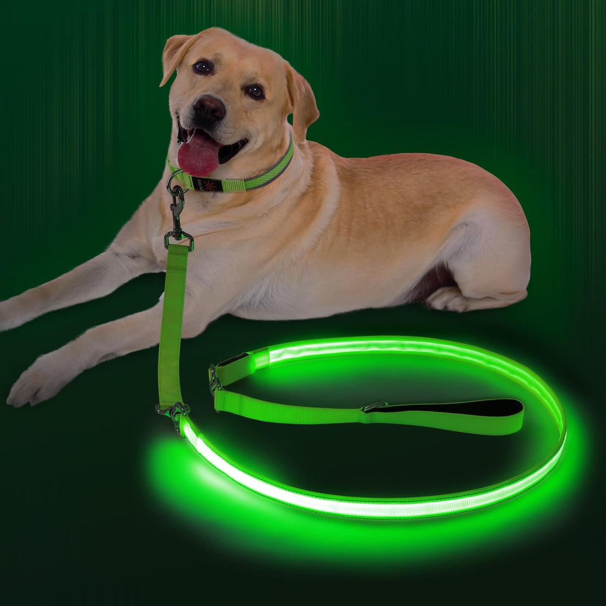 LED Light Up Dog Leash (Green / 6Ft(Three-section))