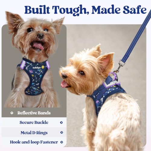 Dog Harness Small Sized and Leash Set (Navy Space Pups / S (chest: 15.1 - 16.5"))