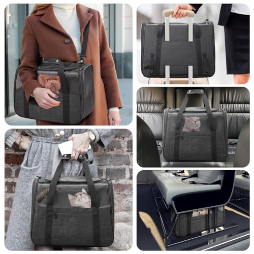 JUNGYOUN Premium Cat Carrier (Dark Grey / 18.0"L x 12.5"W x 14.0"H)