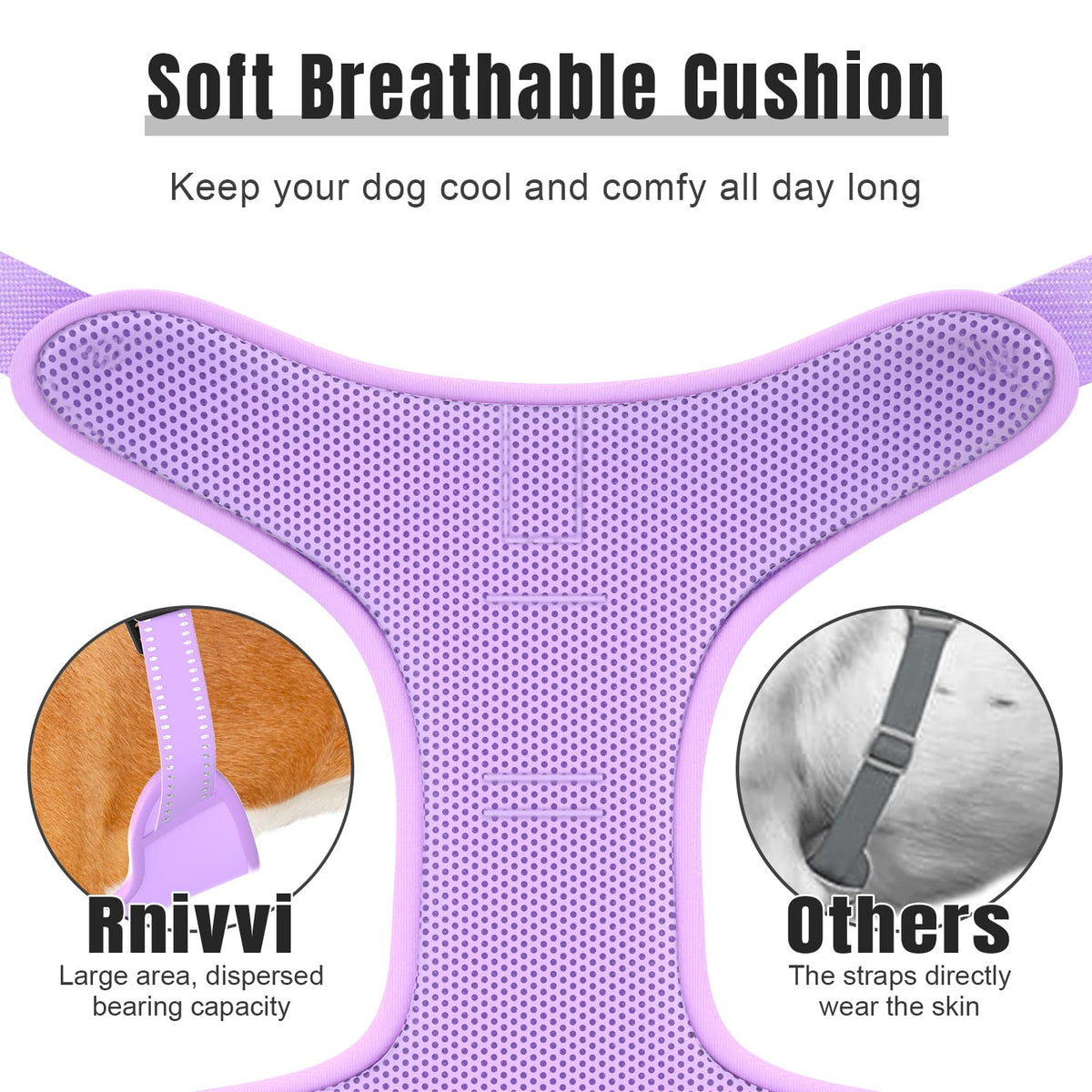 No Pull Dog Harness (Z-Purple / Medium)