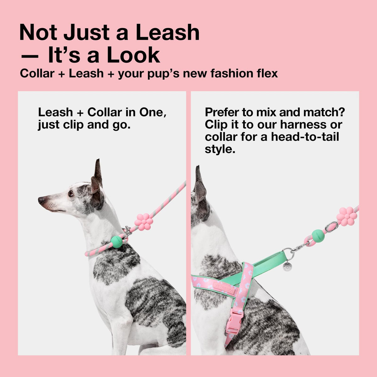 Hands Free Dog Leash (Flora Pink)