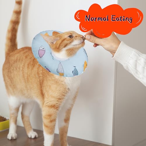 Cat Cone Collar Soft (Blue Fish / Medium)