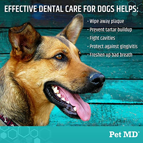 Dental Wipes for Dogs Teeth (100 Count (Pack of 1))