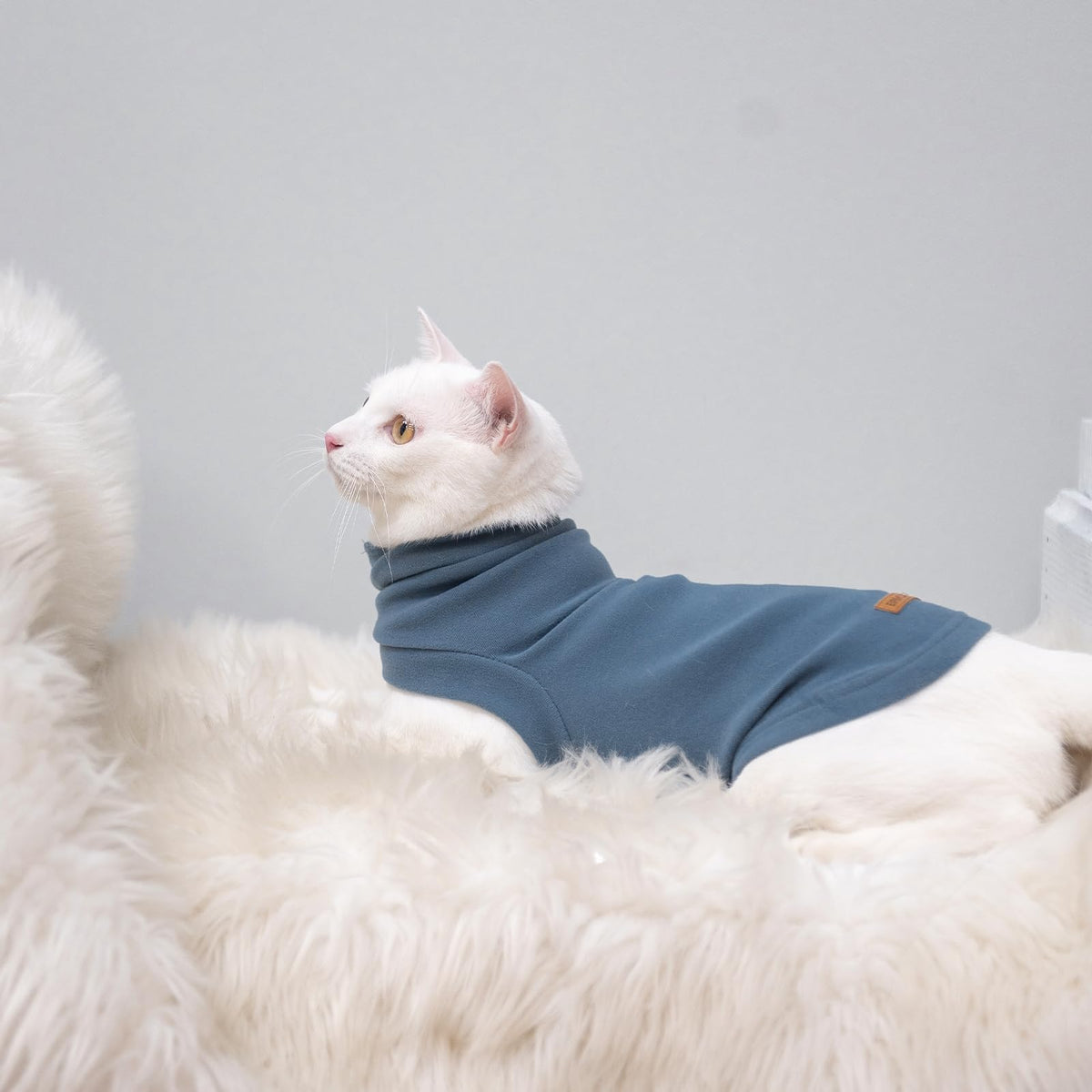 Cat Sweater Warm Fleece Pet Clothes for Cats Only (Blue / Small)