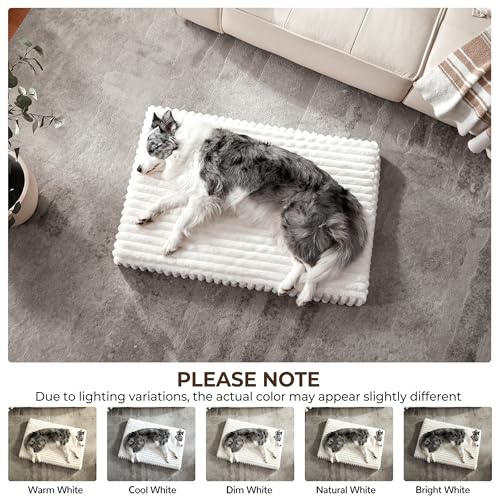 Dog Bed Medium Sized for Crate (Cream / M(30x20x3"))