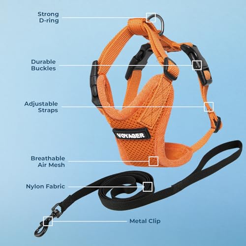 Voyager Step in Lock Cat Harness & Leash Set (Orange / XXXS (Chest: 10.5 - 13"))