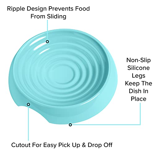 Cat Bowls Original Whisker (Dish / Aruba)