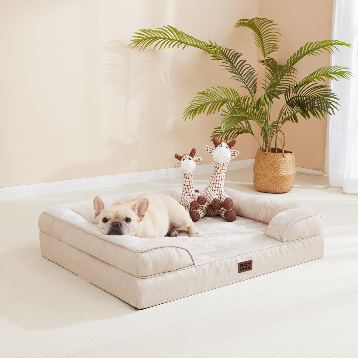 Orthopedic Dog Beds Large Sized Dog (Beige / 36.0"l X 27.0"w X 6.5"th)