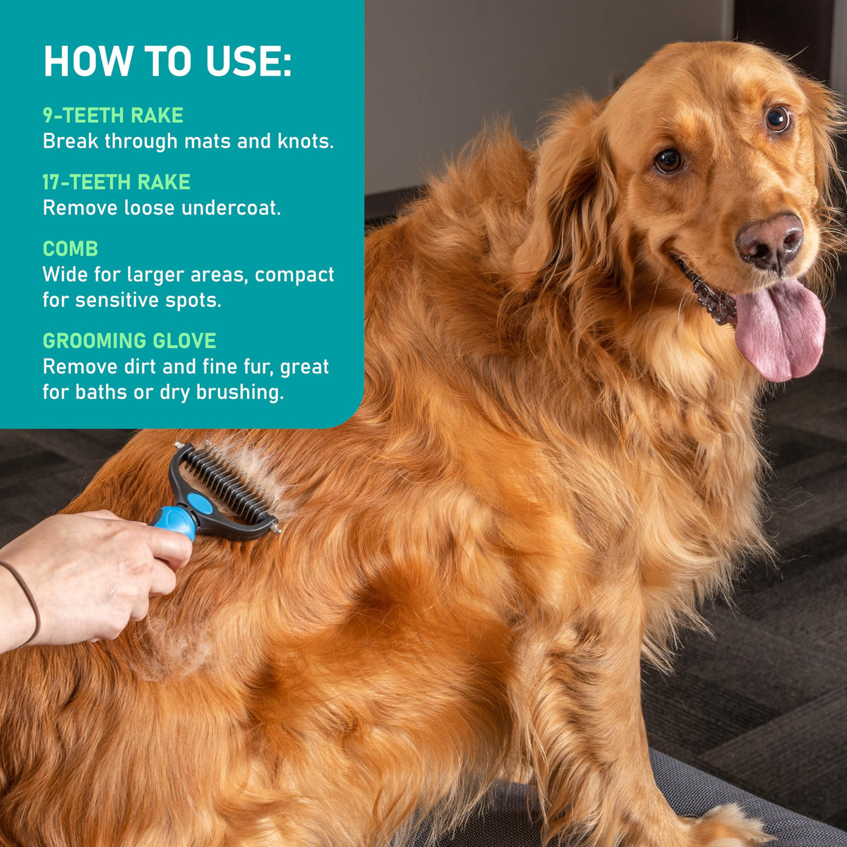 Dog Brush for Shedding (B1 - Rake, Gloves & Comb / Large)