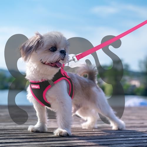 Dog Harness Small Sized and Leash Set (Black & Rose Red / XS (Chest: 13.3"-15.5"))